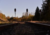 PLK_2025.JPG