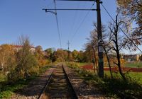 PLK_1904.JPG